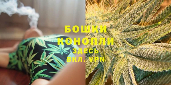 мдпв Богданович